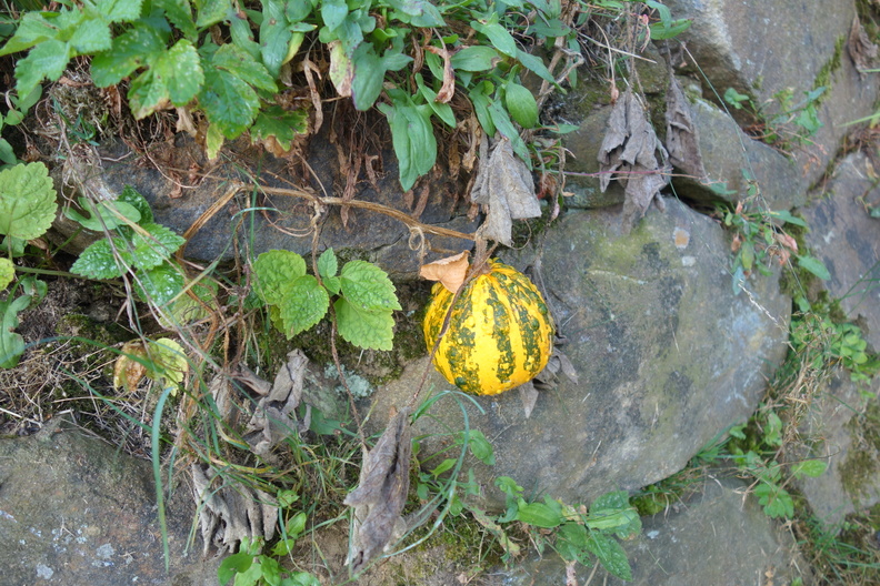 DSC05838.JPG
