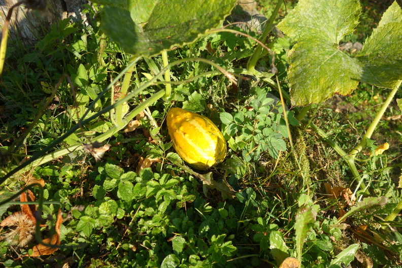 DSC05839.JPG
