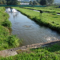 DSC00065