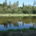 DSC00084