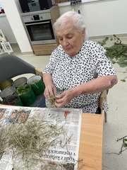 IMG 1838