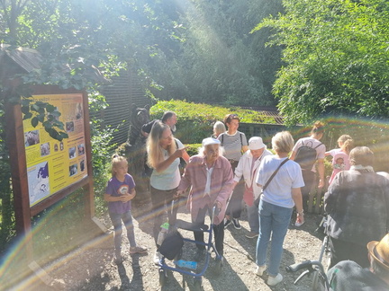 1b781d74-04e2-4093-bc3d-810829bef155