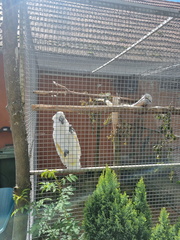 1c2195e0-30a5-47f1-b393-4a49bb021f19