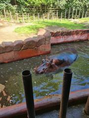 036863a7-c749-416a-b318-cc6fee0e9381