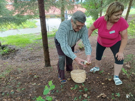 14d37cb0-8b75-47ee-ba48-a4432bee0f5d