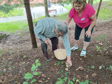 26a8b28d-fc71-4cb2-8493-0a1cb02e5c39