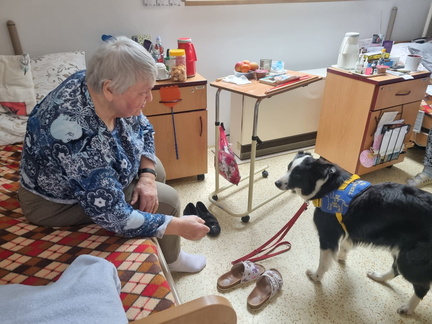 01ce76e4-05f5-4f7e-828e-84b41e7409b7