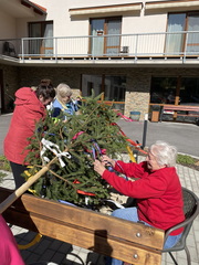 IMG 4321