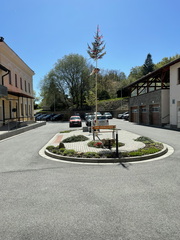 IMG 4351